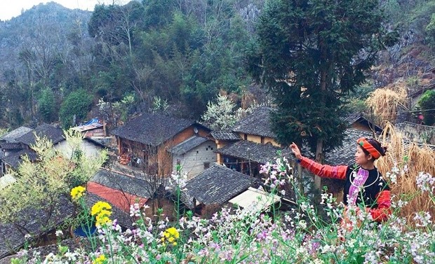 Traditional houses and spring flowers at Lao Xa village, supplied by the user.
