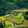 Bản Luốc rice terraces
