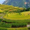 Du Già rice fields & streams