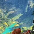 Hai con bò trước thung lũng sông xanh tại View 2 con Bò