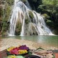 Lily waterfall framed by greenery, with a meal in the foreground.
