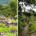 Hạ Thành village