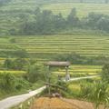 Khuổi My village
